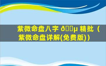 紫微命盘八字 🐵 精批（紫微命盘详解(免费版)）